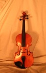fiddles 015